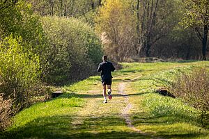 Slow-Running für Anfänger in Niedersfeld Jogger auf Feldweg