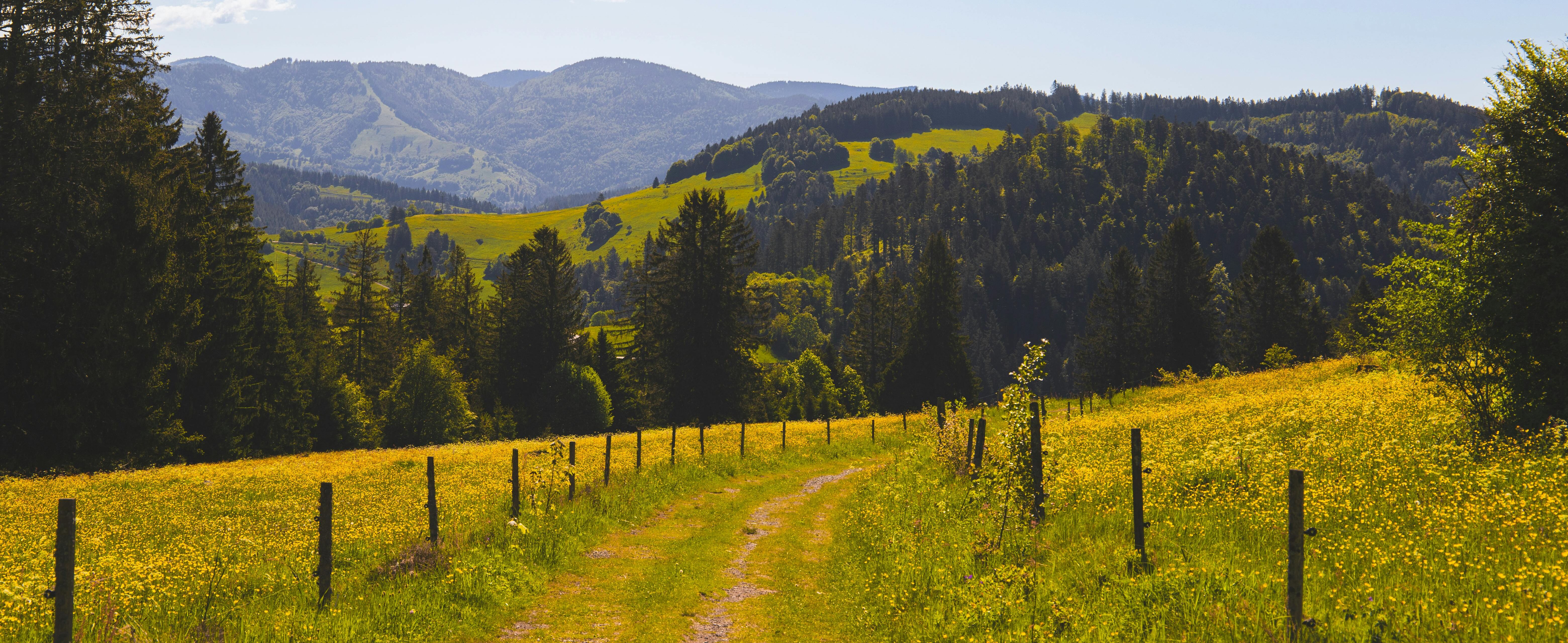 Wander- und Kulturreise am Schluchsee - 8. - 16.06.2026