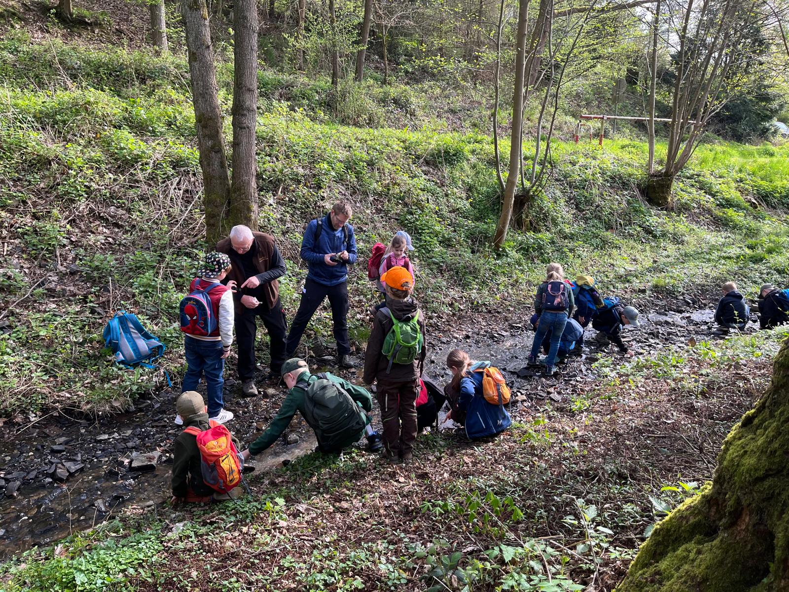 Die Geokids erforschen ein Bach im Wald